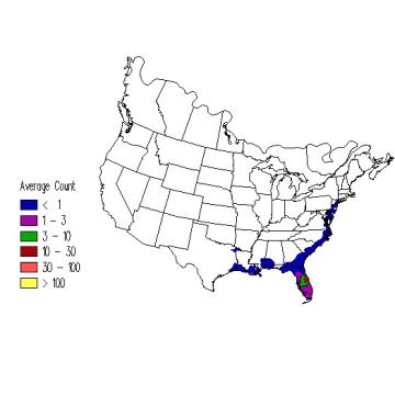 Glossy Ibis winter distribution map