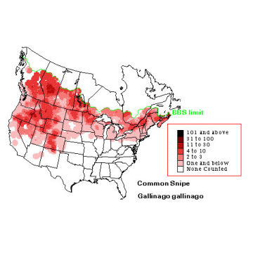 Wilson's Snipe distribution map