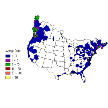 Red-necked Grebe winter distribution map