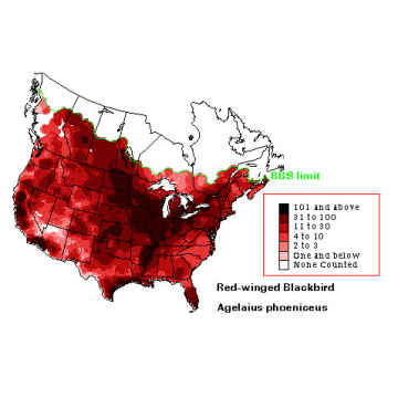 Red-winged Blackbird distribution map