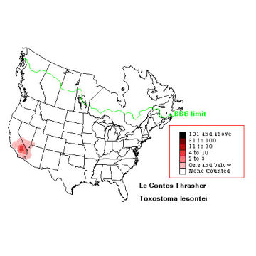 Le Conte's Thrasher distribution map