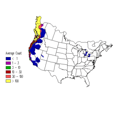 Glaucous-winged Gull winter distribution map