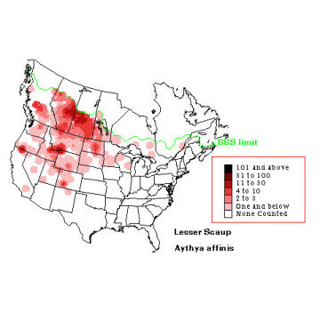 Lesser Scaup distribution map