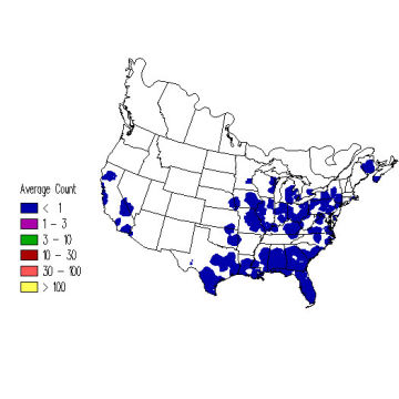 Broad-winged Hawk winter distribution map