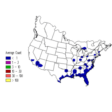Ovenbird winter distribution map