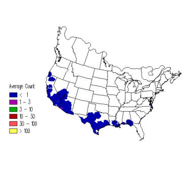 Ash-throated Flycatcher winter distribution map