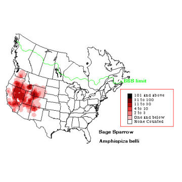 Sage Sparrow distribution map