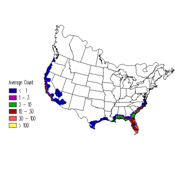 Brown Pelican winter distribution map