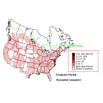 Cooper's Hawk distribution map