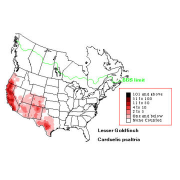 Lesser Goldfinch distribution map