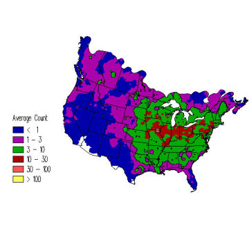 Downy Woodpecker winter distribution map