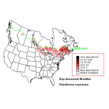 Bay-breasted Warbler distribution map