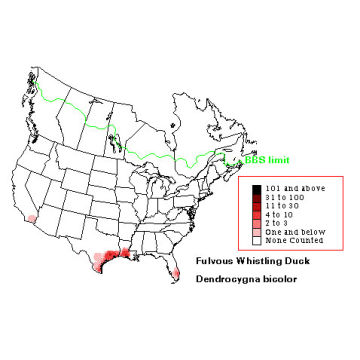 Fulvous Whistling-Duck distribution map