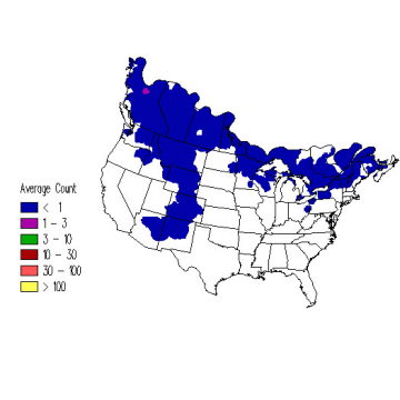 American Three-toed Woodpecker winter distribution map