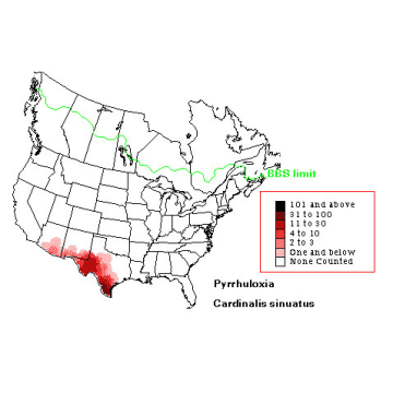 Pyrrhuloxia distribution map