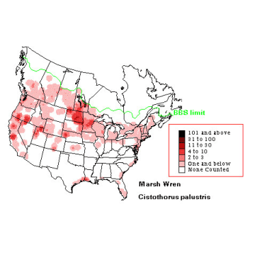 Marsh Wren distribution map