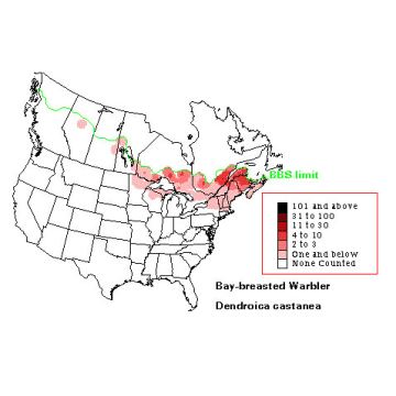 Bay-breasted Warbler distribution map