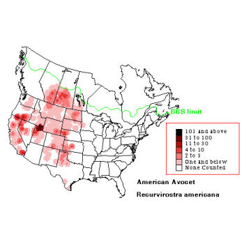 American Avocet distribution map