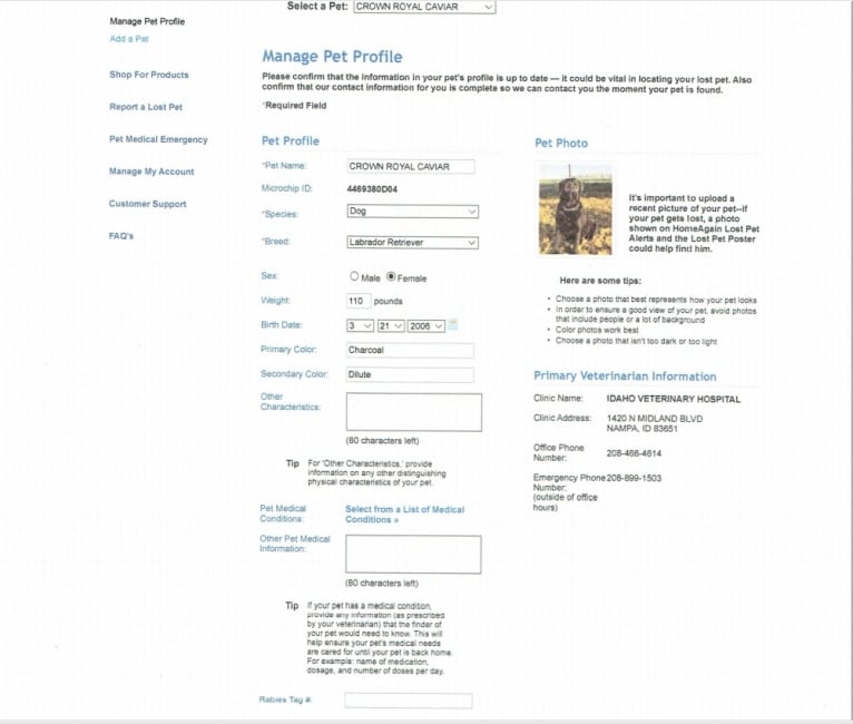 Caviar, a Labrador Retriever tested with EmbarkVet.com