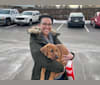 Sisu, a Doberman Pinscher and American Pit Bull Terrier mix tested with EmbarkVet.com