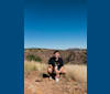 Tim, an Australian Shepherd Group tested with EmbarkVet.com