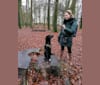 Mila, an Eastern European Village Dog tested with EmbarkVet.com