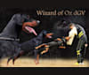 Wizard of Oz de Grande Vinko, a Doberman Pinscher tested with EmbarkVet.com