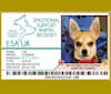 JOE, a Chihuahua and Yorkshire Terrier mix tested with EmbarkVet.com