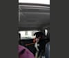 Photo of Louyie, a Border Collie, Labrador Retriever, Australian Shepherd, Australian Cattle Dog, and English Springer Spaniel mix in Columbus, Wisconsin, USA