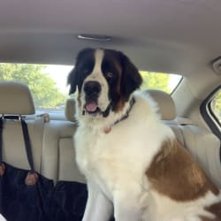 Samson “Sam” Broussard