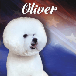 Oliver Norse