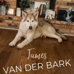 James Van Der Bark