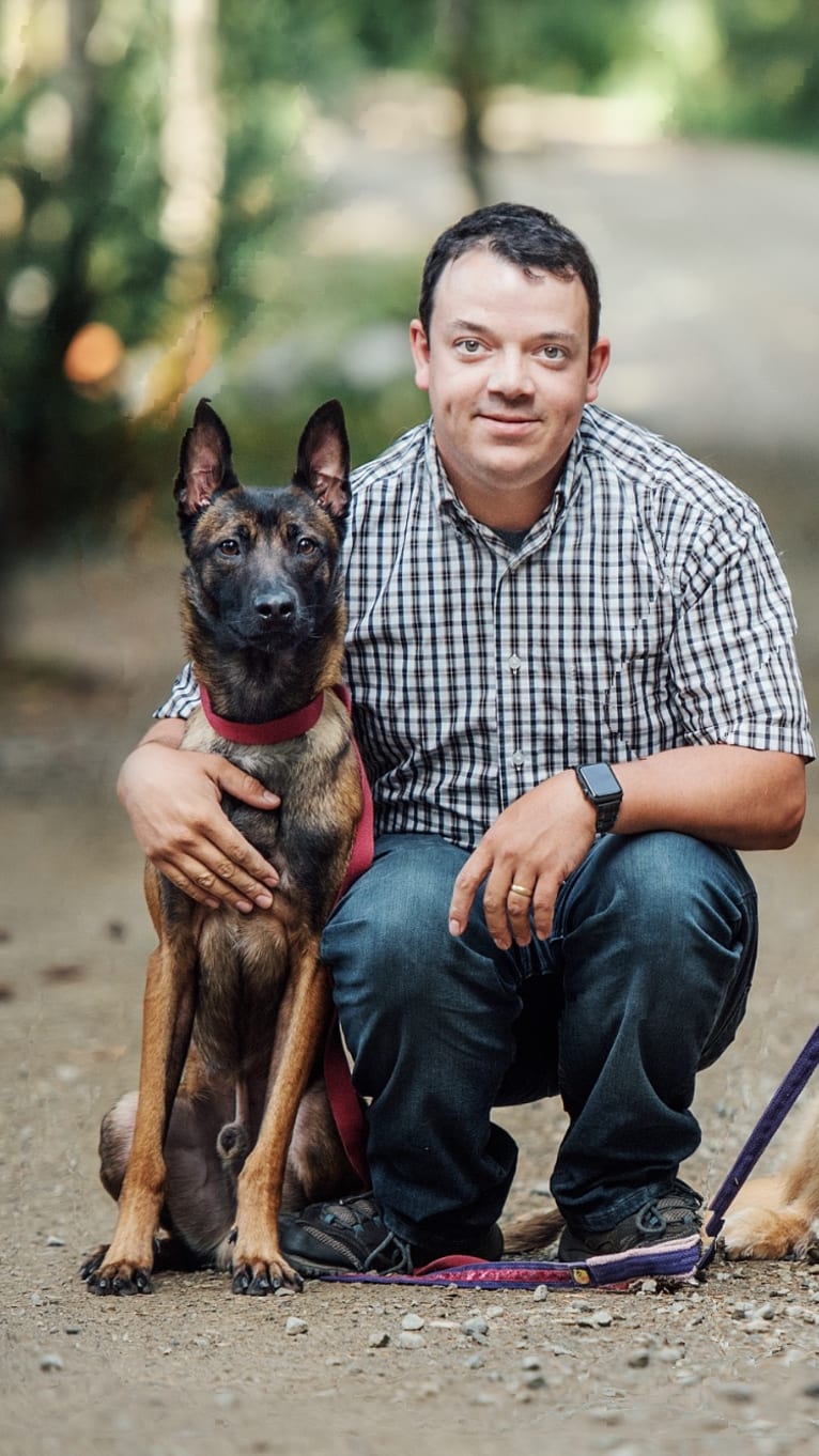 Rocket Raccoon, a Belgian Shepherd tested with EmbarkVet.com