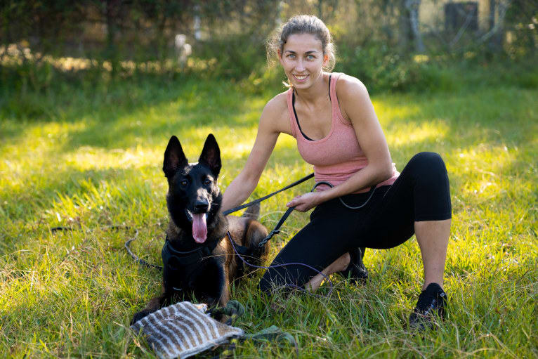 F'Caia Ot Vitosha, a Belgian Shepherd tested with EmbarkVet.com