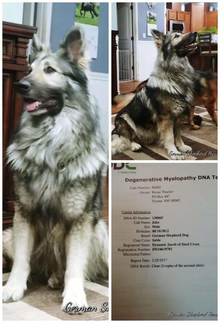 Steel shop cross gsd