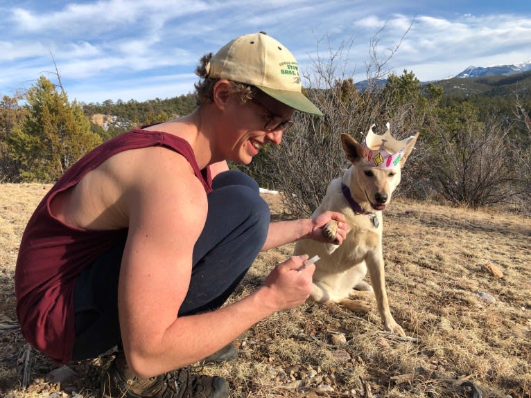 Pearl, an Australian Cattle Dog and Labrador Retriever mix tested with EmbarkVet.com