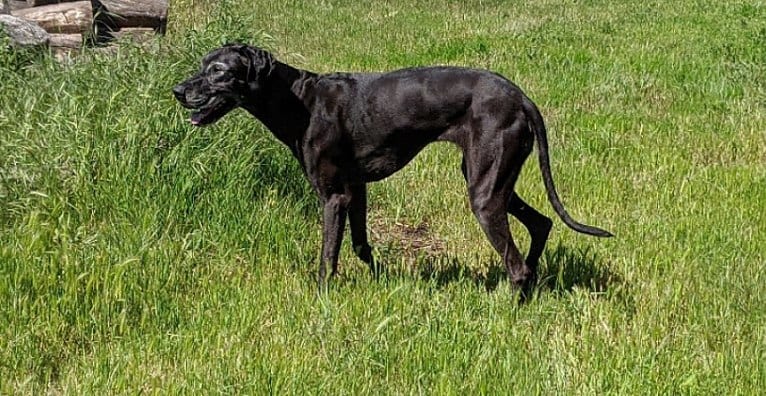 embark