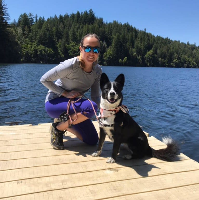 Ryder, a Siberian Husky and Australian Cattle Dog mix tested with EmbarkVet.com