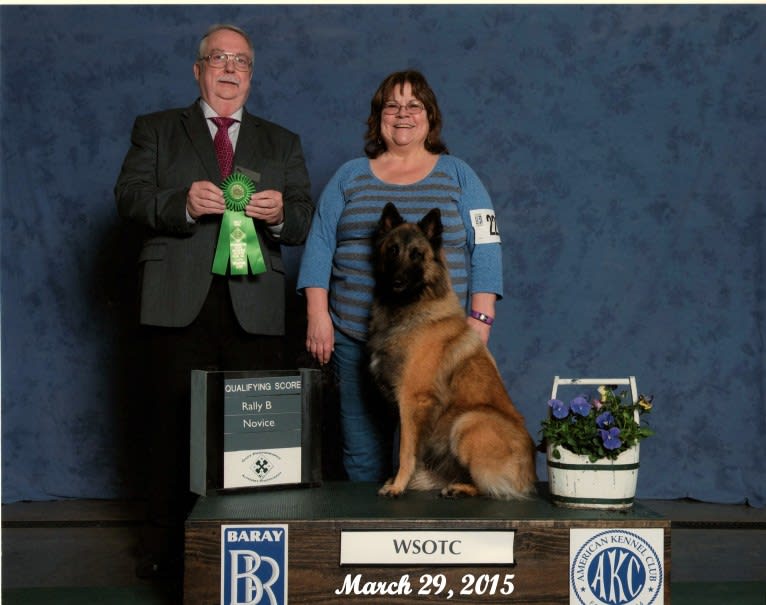 Tuarie, a Belgian Shepherd tested with EmbarkVet.com