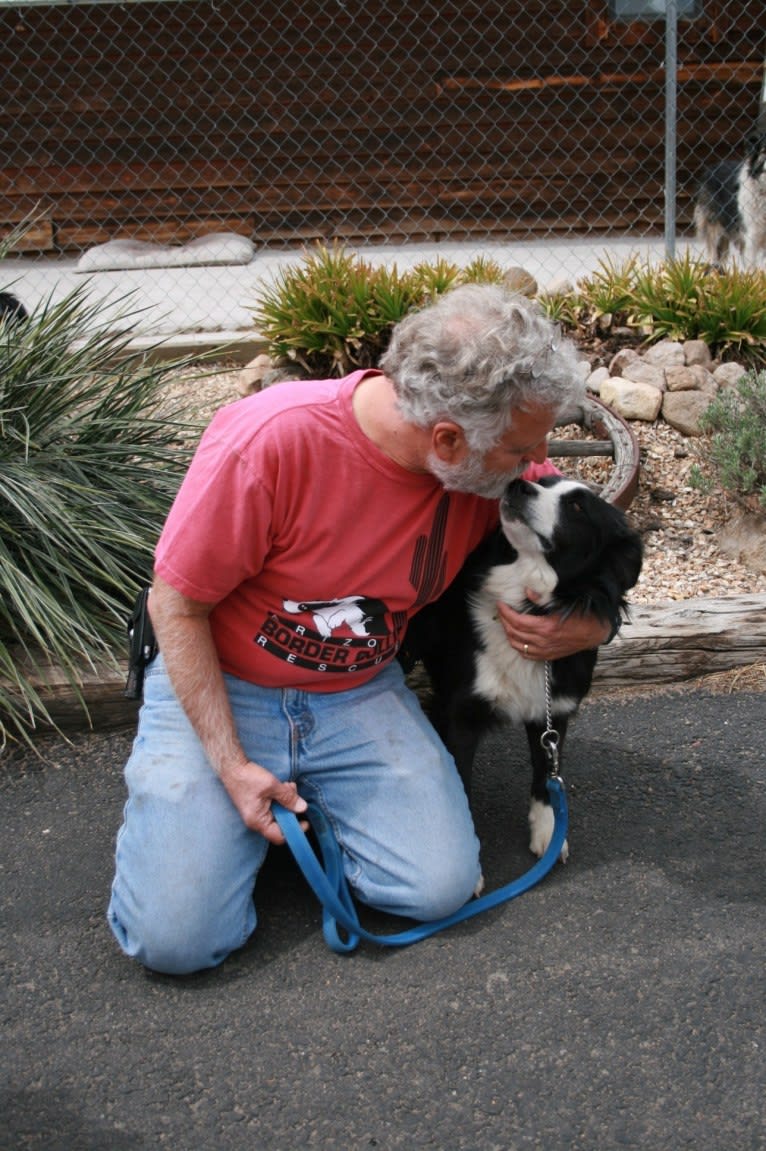 Larry, an English Shepherd and Australian Cattle Dog mix tested with EmbarkVet.com