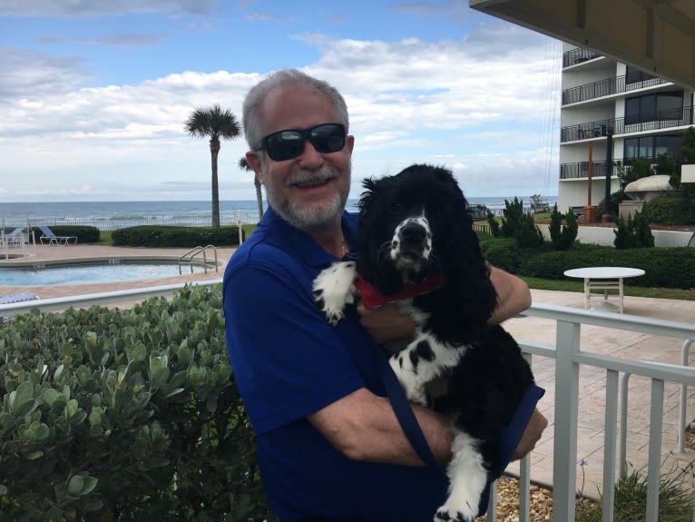 Ricky, a Cocker Spaniel tested with EmbarkVet.com