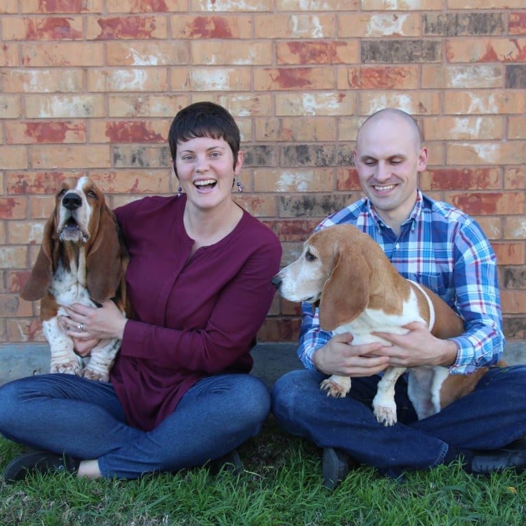 Butler, a Basset Hound tested with EmbarkVet.com