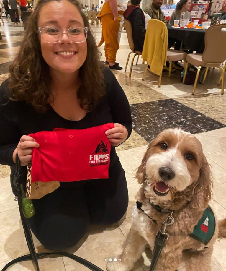 Hamilton, a Goldendoodle tested with EmbarkVet.com