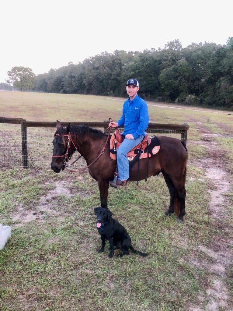 Gallatin, a Labrador Retriever tested with EmbarkVet.com