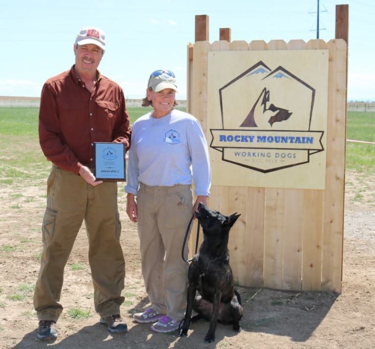 Nike des las Flores, a Dutch Shepherd tested with EmbarkVet.com