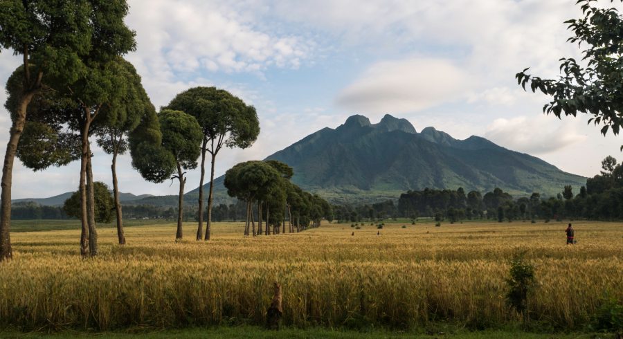 Beautiful scenery in Rwanda