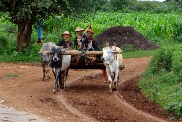 Tribal beliefs of the Lu'ha Tribes on the Road to Mandalay in Myanmar