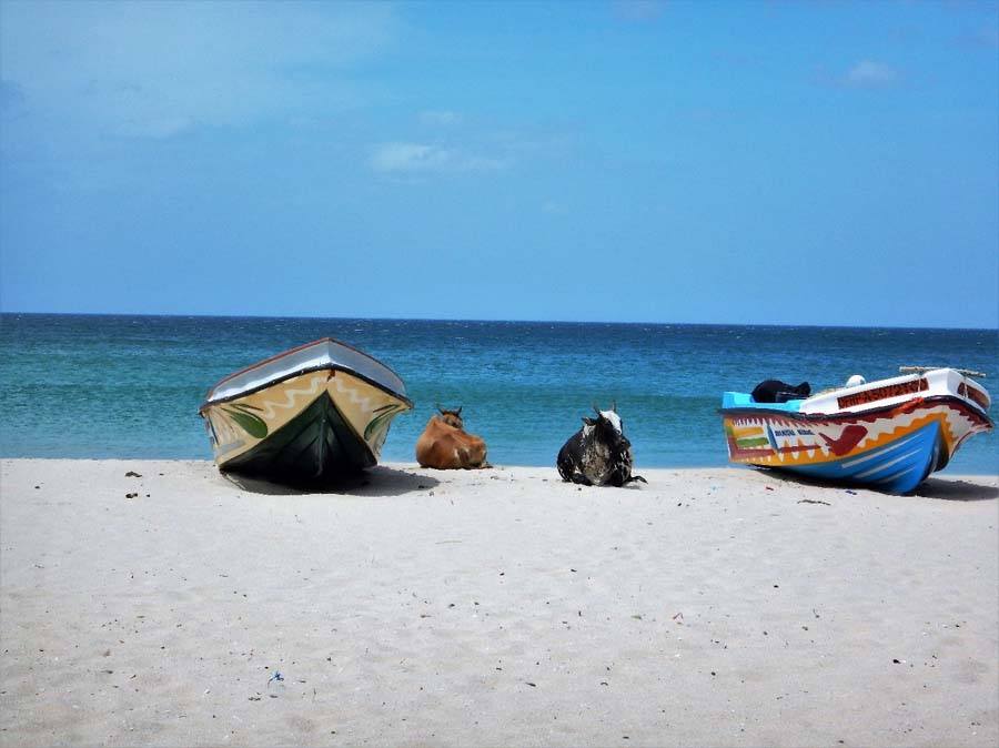 Nadine-Frey-travelmieze.com-asien-reiseberichte