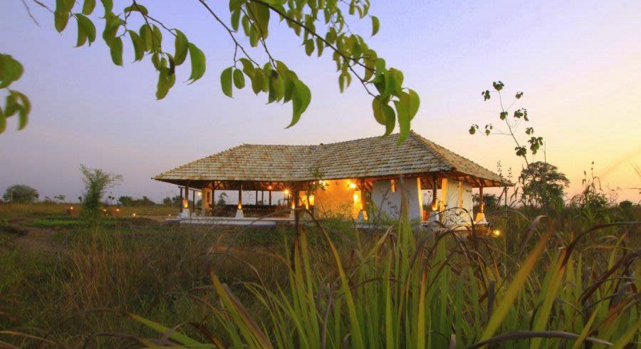 Tucked Away Wildlife in India: Introducing Tadoba