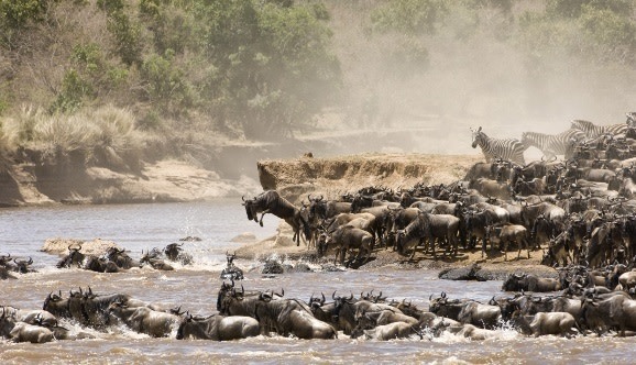 Die Great Migration